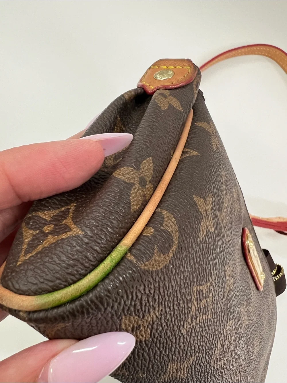 Project Bag Louis Vuitton Eva Monogram Canvas Clutch Bag_14